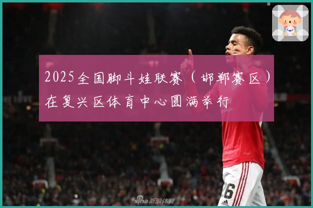 2025全国脚斗娃联赛（邯郸赛区）在复兴区体育中心圆满举行