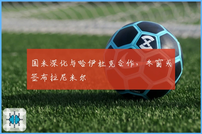 国米深化与哈伊杜克合作，冬窗或签布拉尼米尔